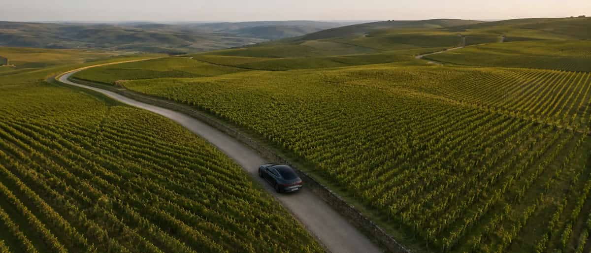 Private chauffeur day trip to Champagne vineyards from Paris with Mercedes